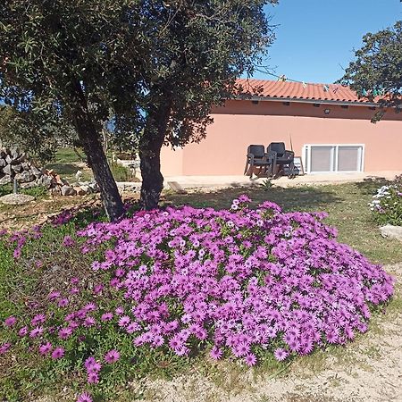 App Bonic Apartment Veli Losinj Ngoại thất bức ảnh