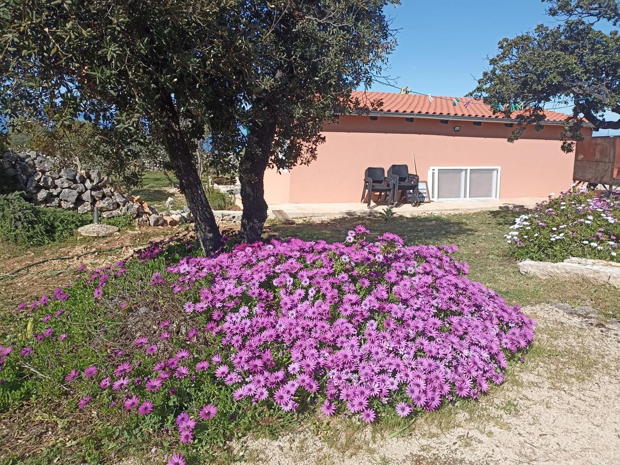 App Bonic Apartment Veli Losinj Ngoại thất bức ảnh